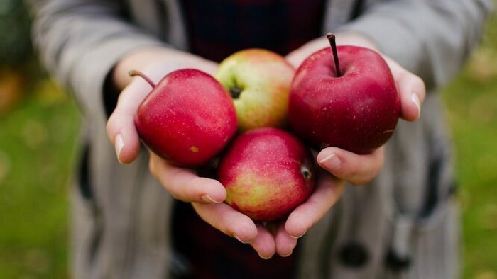 5 причин съедать минимум одно яблоко в день