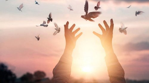 5 способов простить человека и отпустить обиду