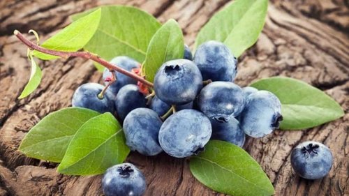 Почему этим летом вы должны съесть как можно больше голубики
