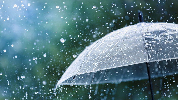 7 вещей, которые произойдут с вашим телом, если выйти на улицу после дождя