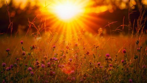 Праздники 12 августа 2021: история, традиции, именины