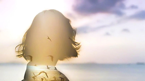 Почему умные люди никогда не обижаются