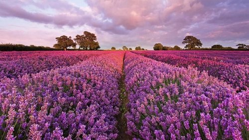 Праздники 13 августа 2021: история, традиции, именины