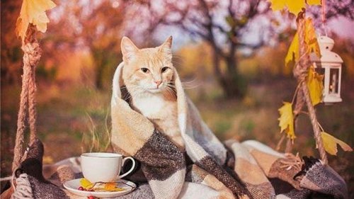 Гороскоп на неделю: для всех знаков зодиака