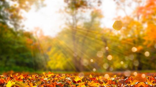 Праздники 30 августа 2021: традиции, именины, что нельзя делать