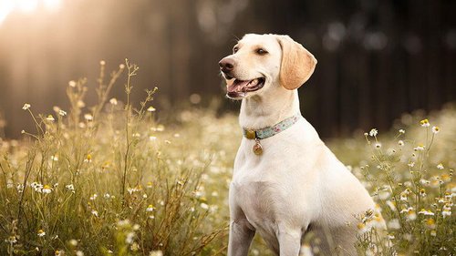 Праздники 26 августа 2021: интересные факты, события, традиции