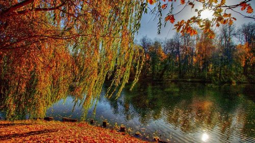 Праздники 8 сентября 2021: факты, традиции, именины