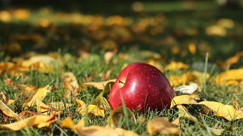 Праздники 20 сентября 2021: интересные факты, традиции, именины