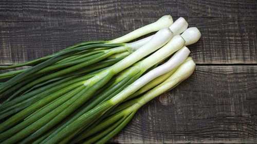 Простой способ выращивания лука в домашних условиях