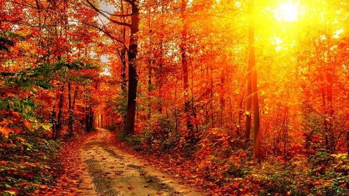 Праздники 21 сентября: история, традиции, что нельзя делать