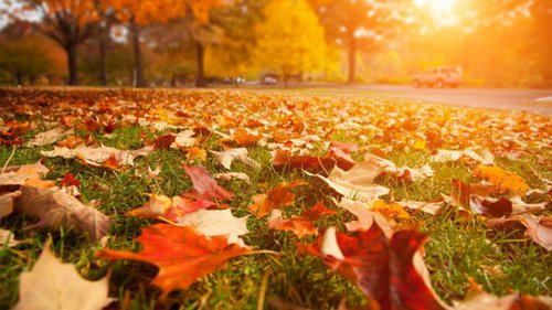 Праздники 17 сентября 2021: история, традиции, именины