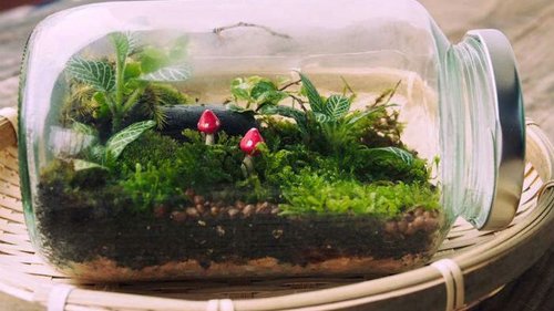 Выбор декоративных банок для декора дома