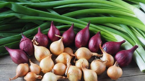Репчатый лук таит в себе опасность: узнайте какую