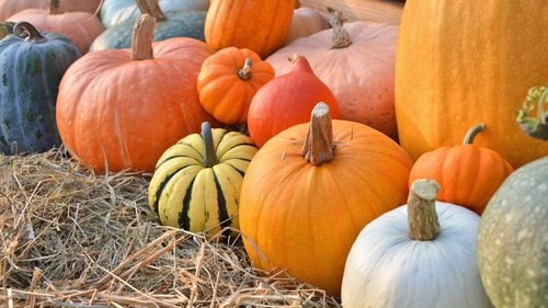 Праздники 28 сентября 2021: история, традиции, именины