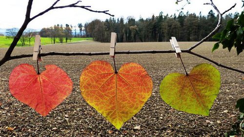 Любовный гороскоп на октябрь: кто начнет новые отношения, а кто захочет одиночества