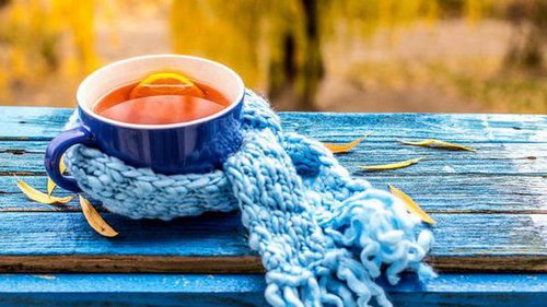 Праздники 4 октября 2021: история, факты, традиции