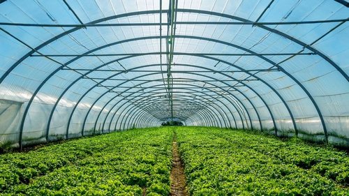 Многослойные тепличные пленки: свойства и особенности выбора