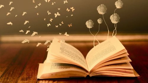Уход за книгой. Плесень и пыль