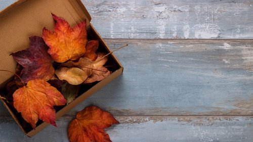 Праздники 13 октября 2021: история, традиции, именины