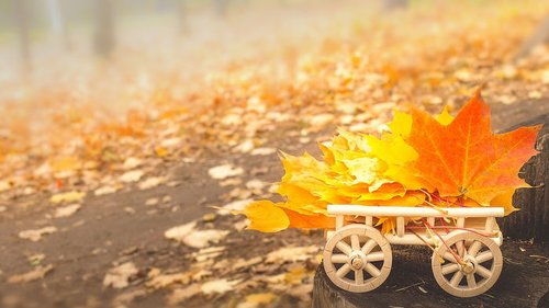 Гороскоп на неделю: для всех знаков зодиака