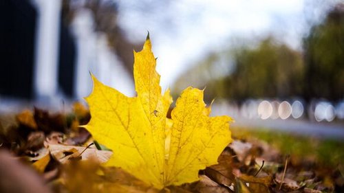 Праздники 11 октября 2021: традиции, события, запреты