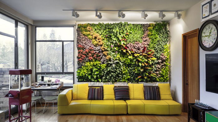 Стена из комнатных растений: как эффектно оживить интерьер с помощью зелени