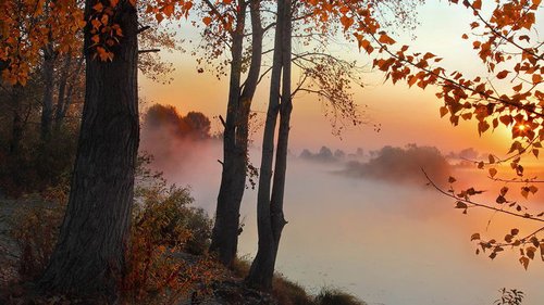 Праздники 20 октября 2021: факты, традиции, приметы