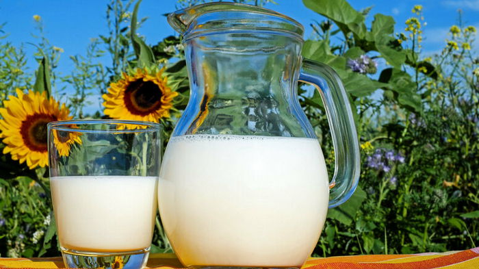 Сколько молочных продуктов человек может употреблять в сутки