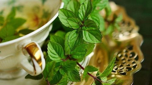 15 фантастических преимуществ мятного чая