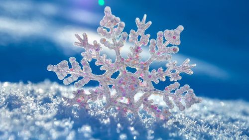 Праздники 3 декабря 2021: интересные факты, традиции, запреты