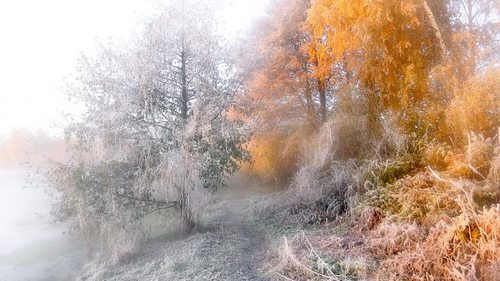 Праздники 25 ноября: факты, традиции, приметы