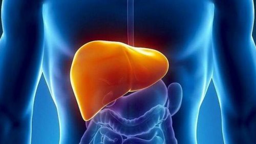 Продукты, которые очистят печень от токсинов