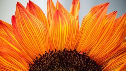 10 малоизвестных законов благодарности