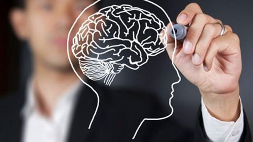 Научите мозг отказываться от дурных привычек: способы создания новых нейронных связей