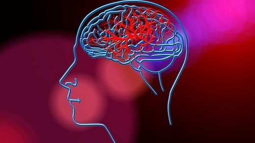 Почему мозг отказывается работать в состоянии усталости