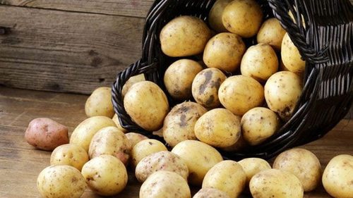 Причины, по которым картофель при хранении чернеет изнутри