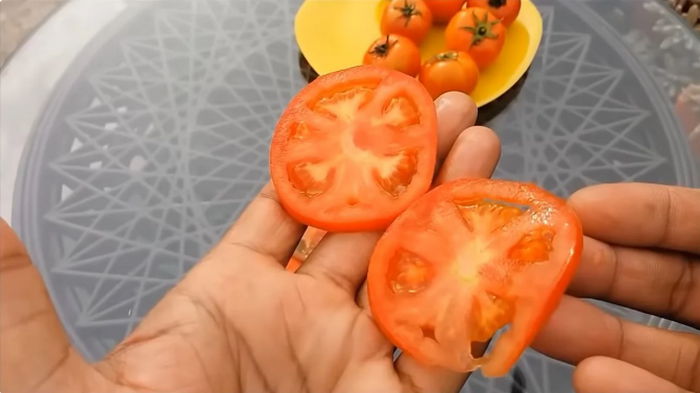 Знакомый из Индии рассказал, как они сажают помидоры: экономит время и дает отличный урожай