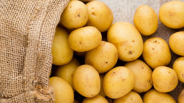 Что поможет повысить урожайность картофеля втрое: названы действенные способы