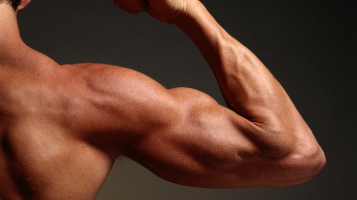 Самые интересные факты о мышцах