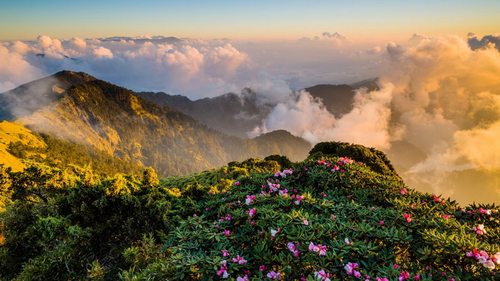 природа острова Тайвань