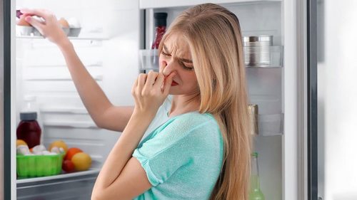 Избавляемся от неприятных запахов в холодильнике