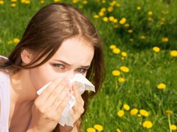 Почему аллергия атакует летом?