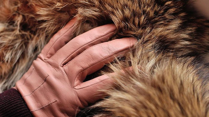 Мягкий и блестящий: чем в домашних условиях почистить мех на куртке
