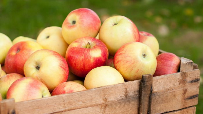 Не храните яблоки рядом с этими продуктами: испортятся и те, и другие