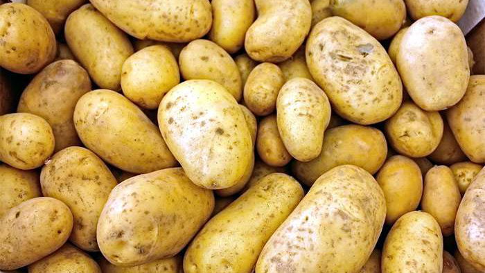 Как увеличить урожай картошки вдвое: одно важное правило