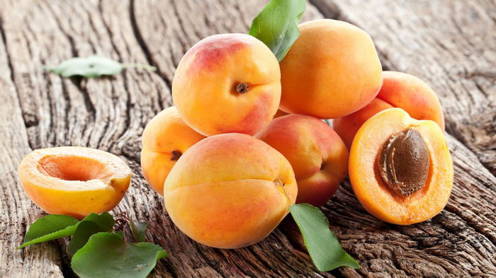 Это точно заставит абрикос цвести и плодоносить: плоды будут размером с яблоко