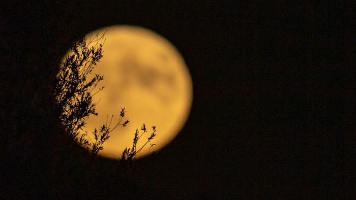 Лунное затмение в начале мая: чего стоит опасаться и что делать нельзя