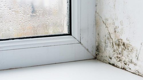 Как избавиться от черного грибка на окнах и подоконнике: 4 эффект...