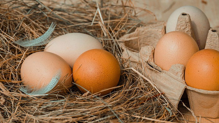 Как выбирать яйца по категориям: мало кто знает, в чем главный нюанс