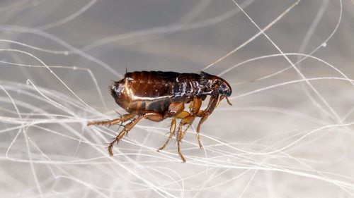 5 простых упражнений на растяжку | BTB Lady